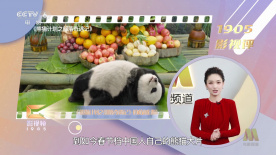 五月伊人亚洲精品一区